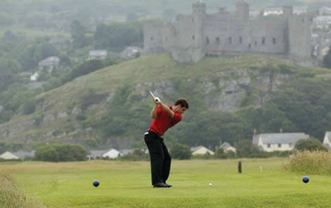 Royal St Davids Golf Club